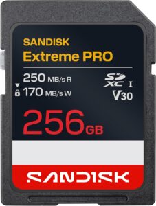 SanDisk 256gb