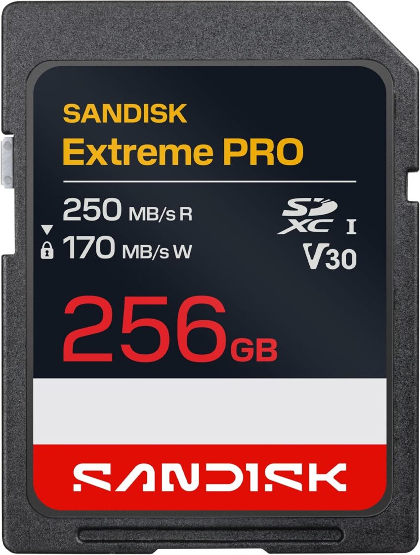 SanDisk 256gb