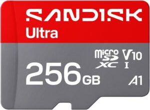 SanDisk 256gb