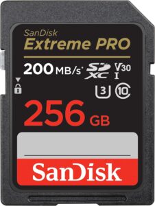 SanDisk 256gb