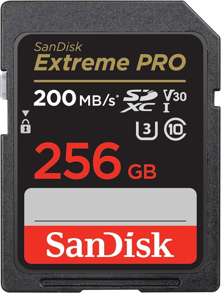 SanDisk 256gb