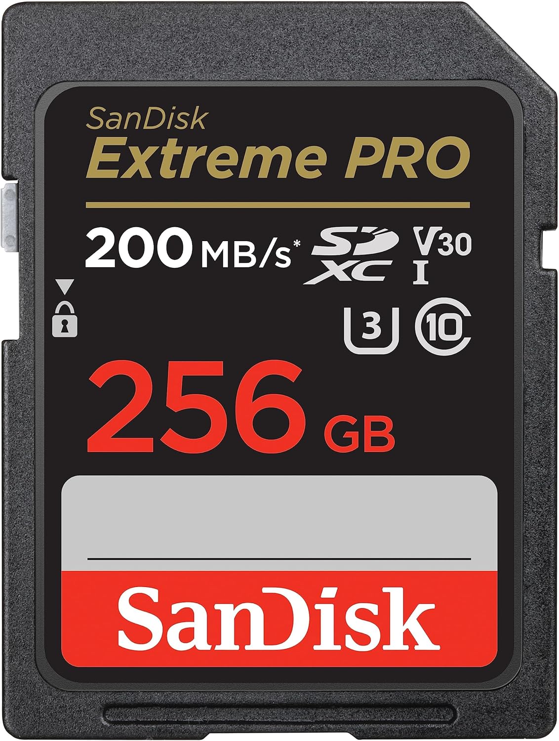 SanDisk 256gb