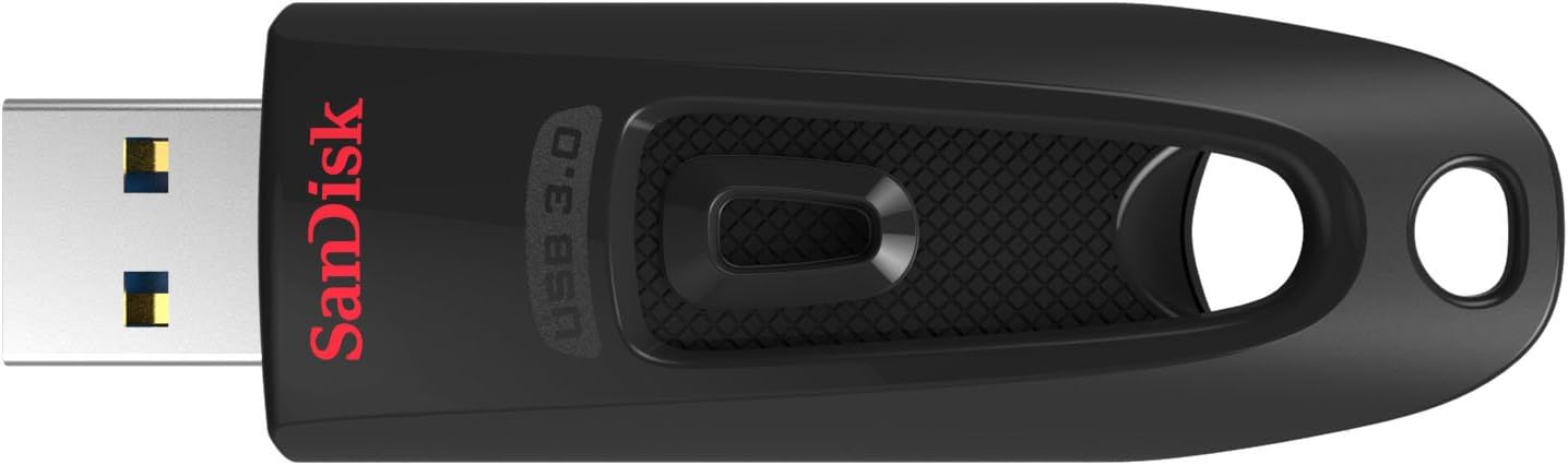 SanDisk 256gb