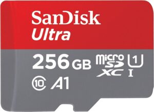 SanDisk 256gb
