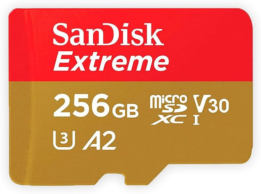 SanDisk 256gb