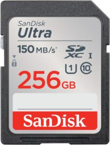 SanDisk 256gb