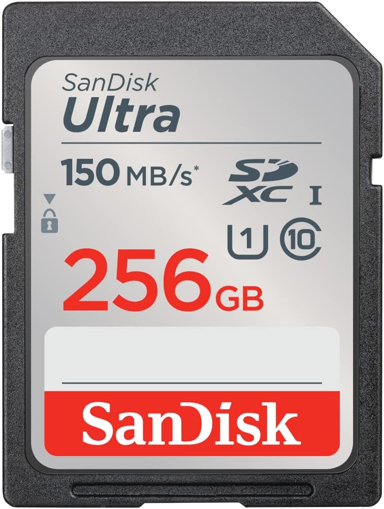 SanDisk 256gb
