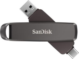 SanDisk 256gb