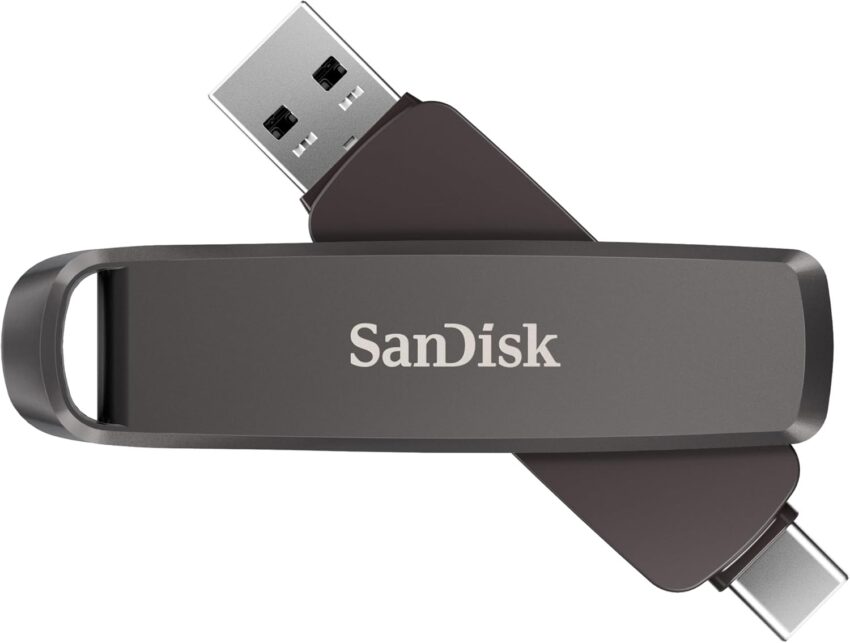 SanDisk 256gb