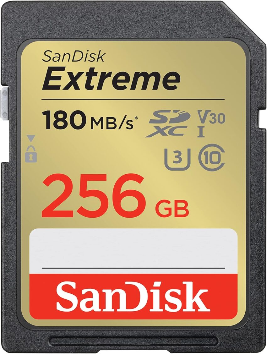 SanDisk 256gb
