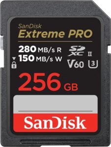 SanDisk 256gb