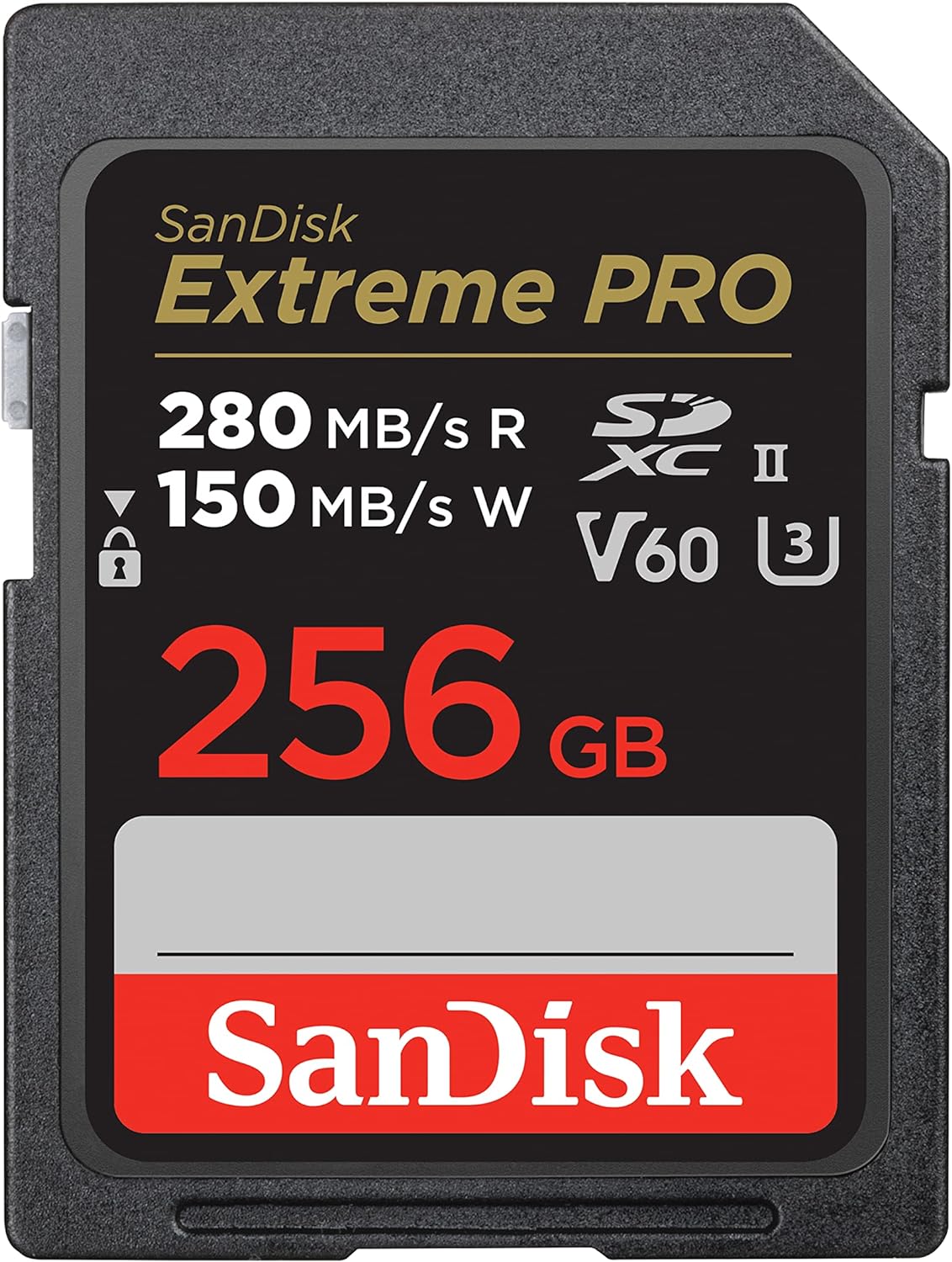 SanDisk 256gb