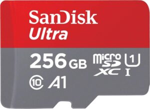 SanDisk 256gb