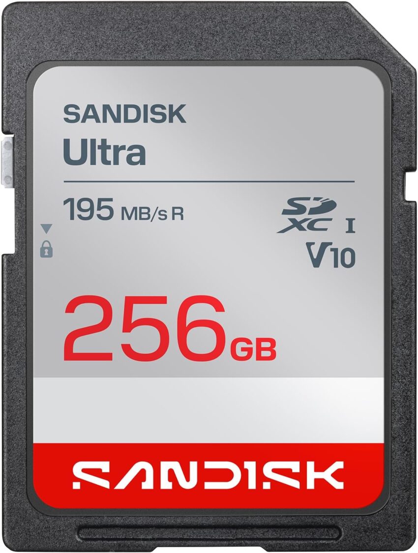 SanDisk 64gb