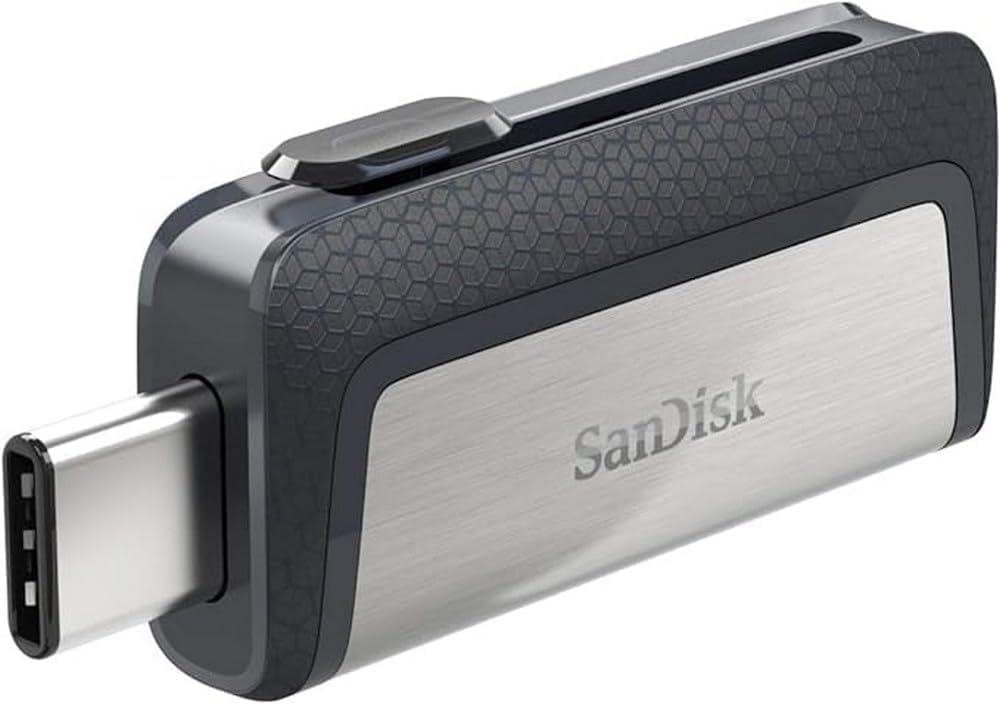 SanDisk 256gb