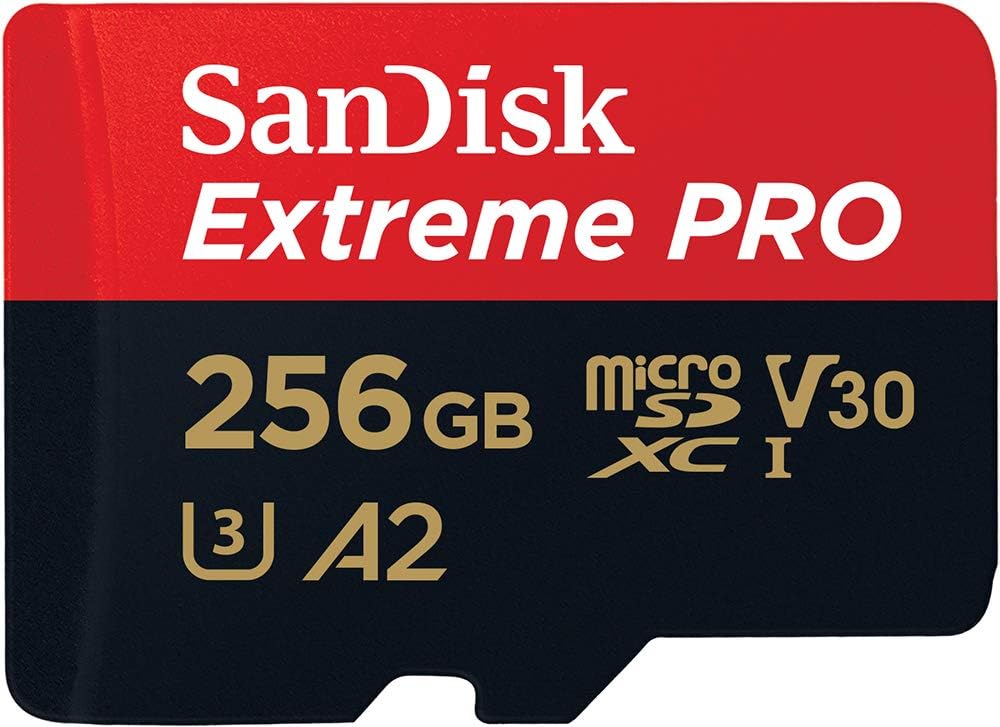 SanDisk 256gb