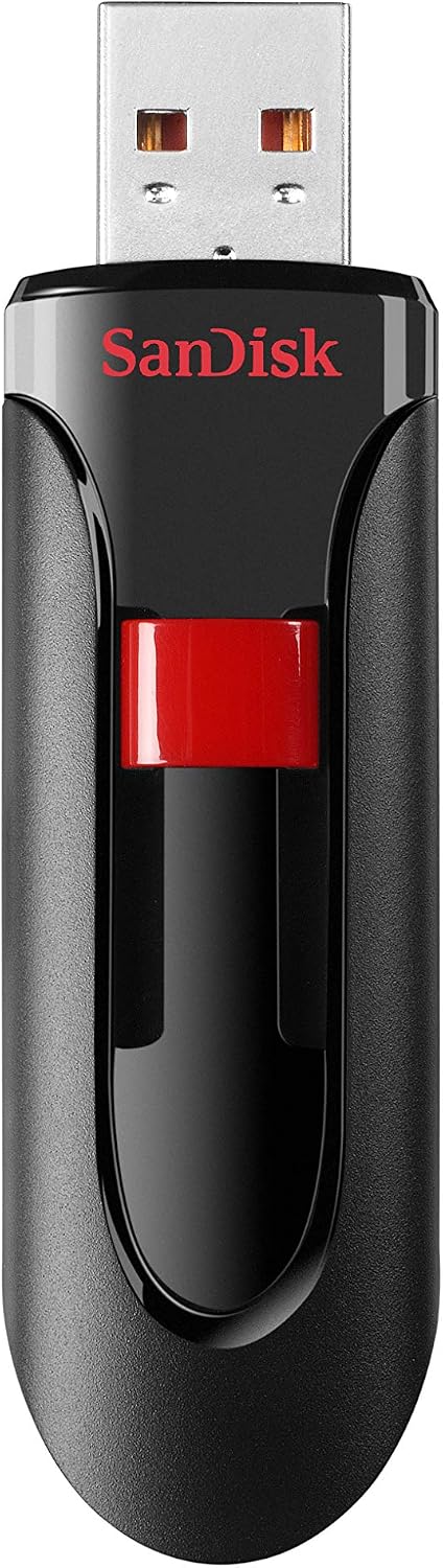 SanDisk 256gb