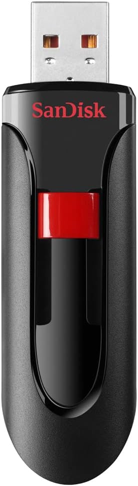 SanDisk 256gb