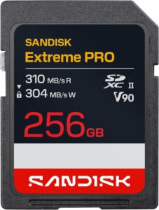 SanDisk 256gb