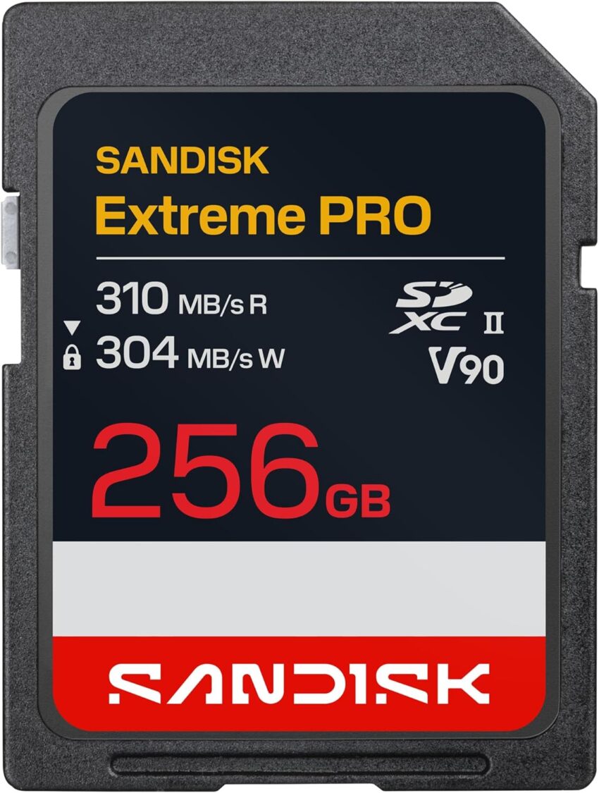 SanDisk 256gb