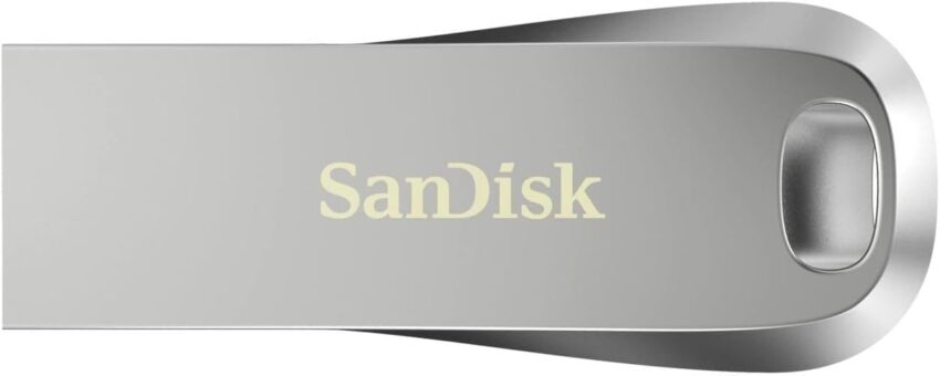 SanDisk 256gb