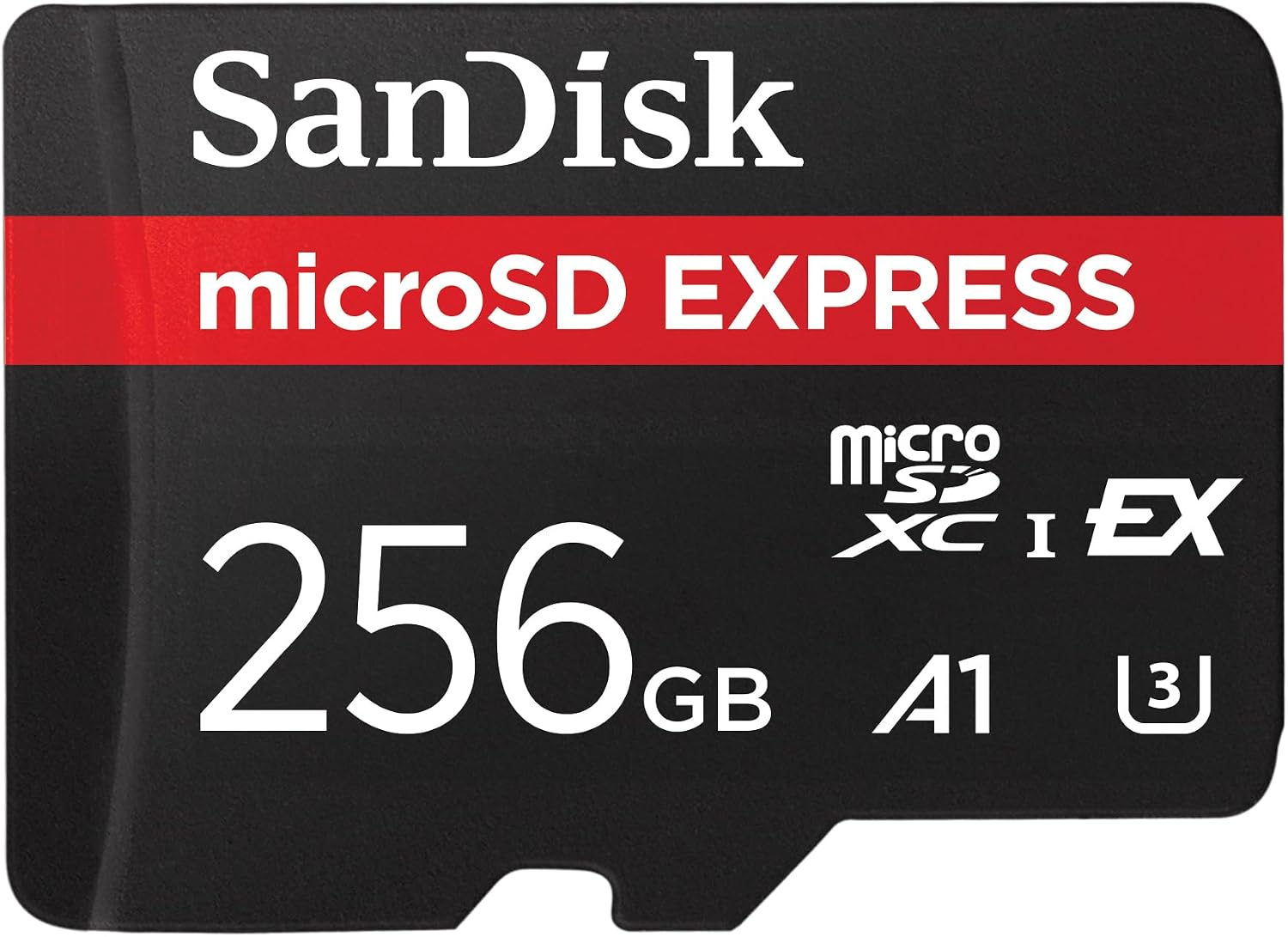 SanDisk 256gb