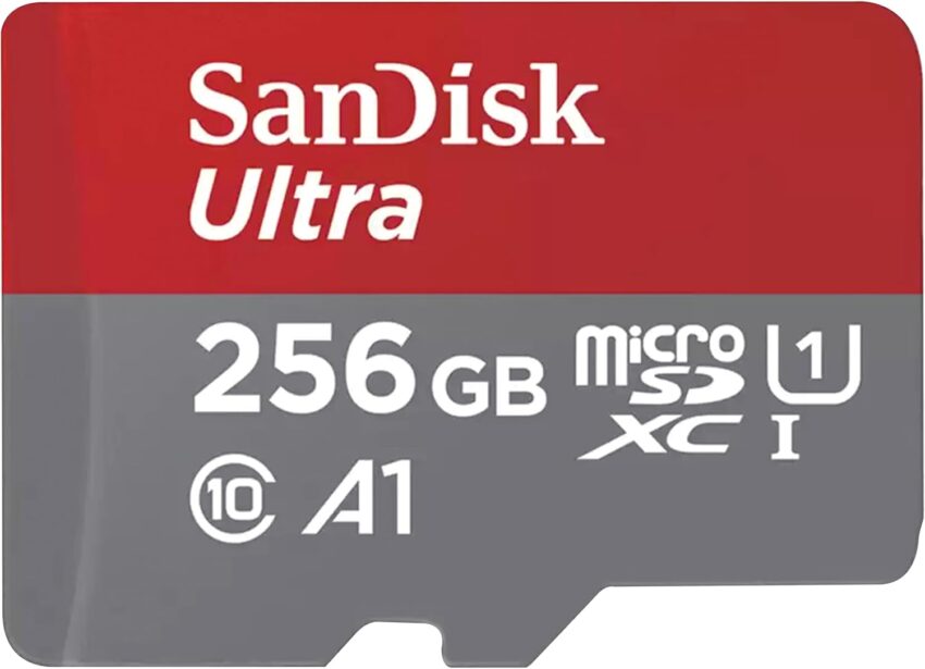 SanDisk 256gb