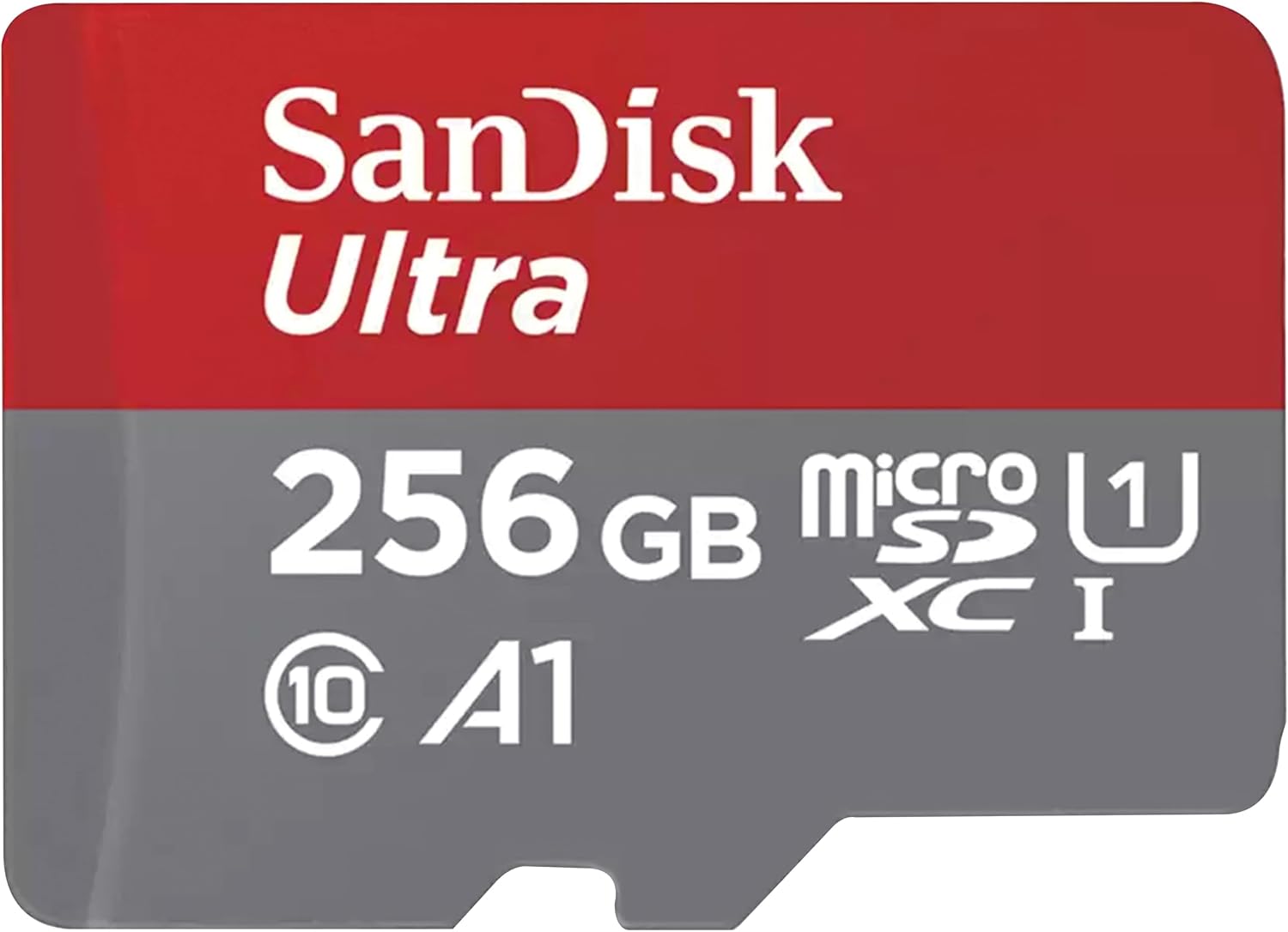 SanDisk 256gb