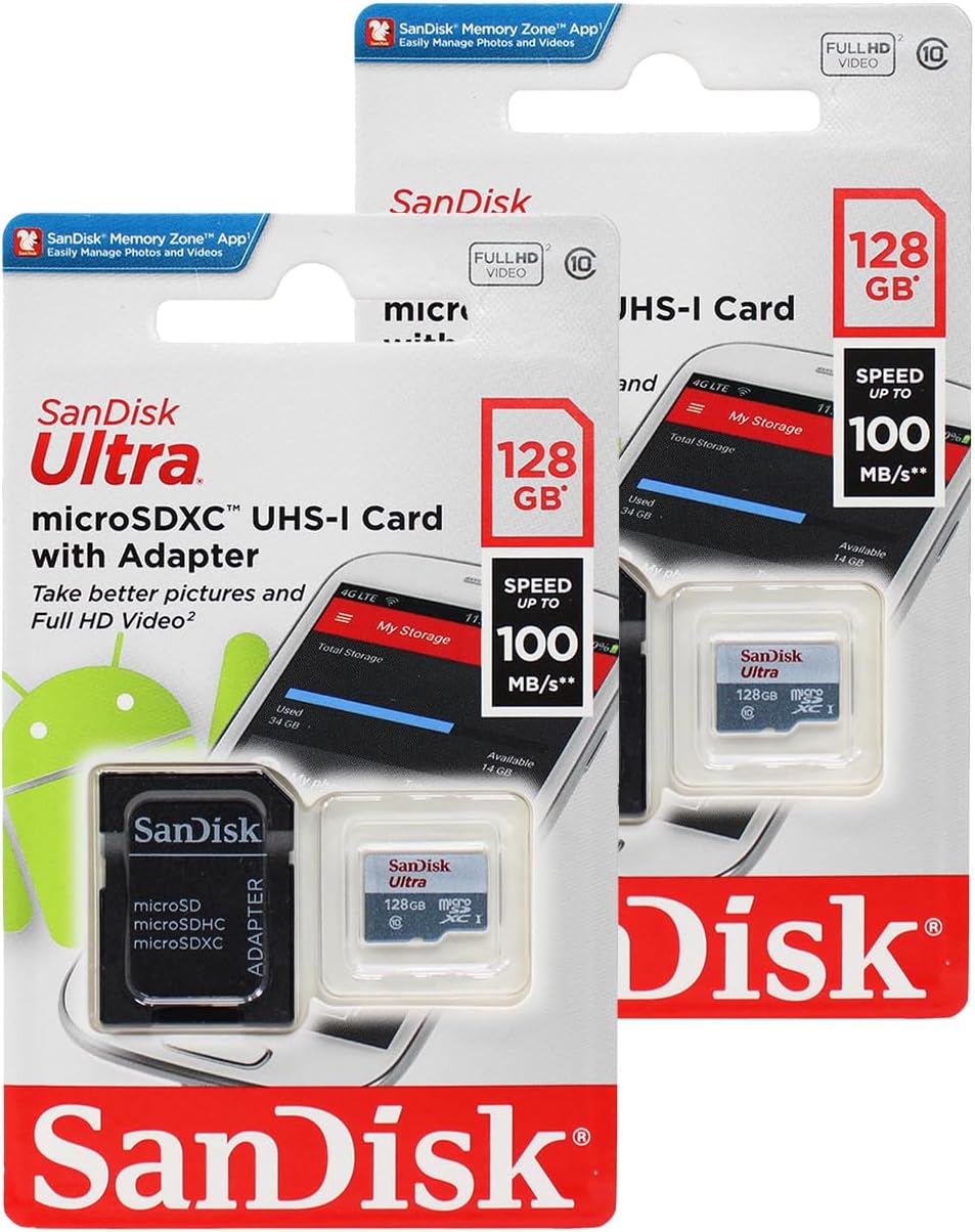 SanDisk 256gb