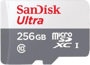 SanDisk 256gb