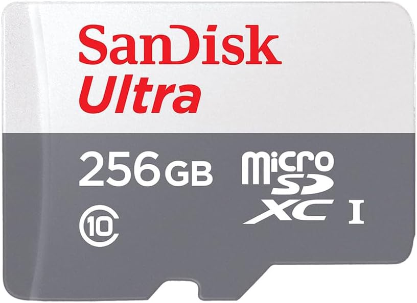 SanDisk 256gb