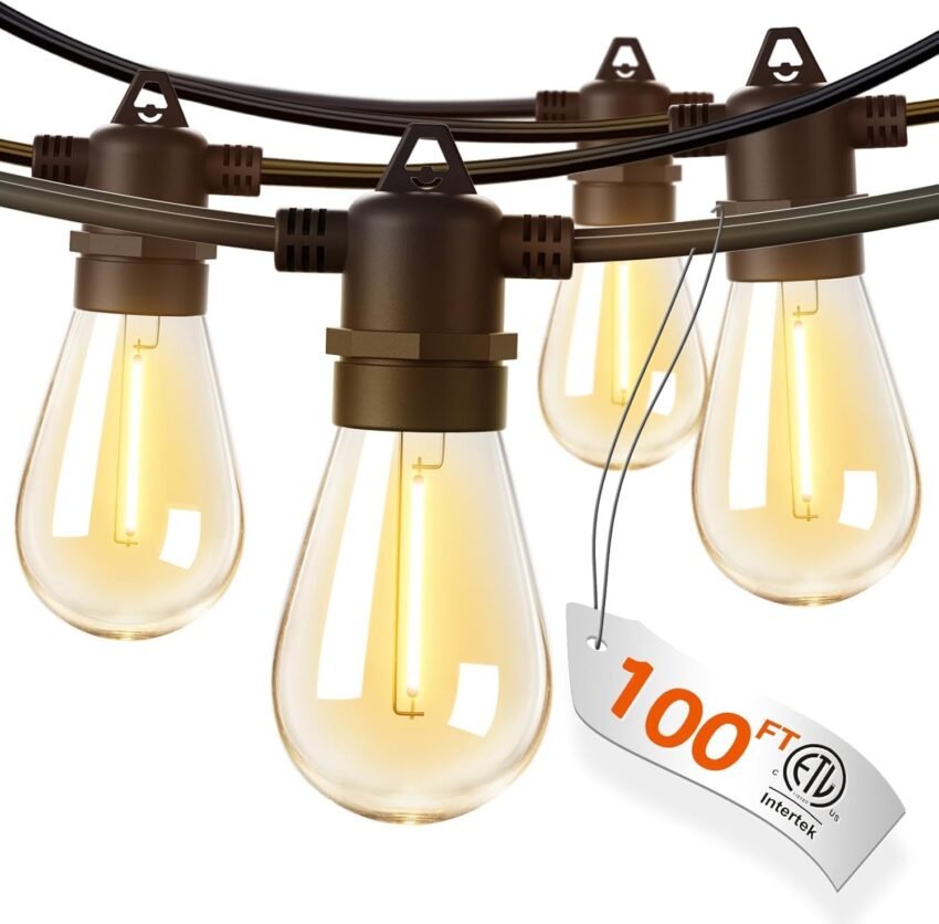 Amazon Basics Heavy Duty String Lights