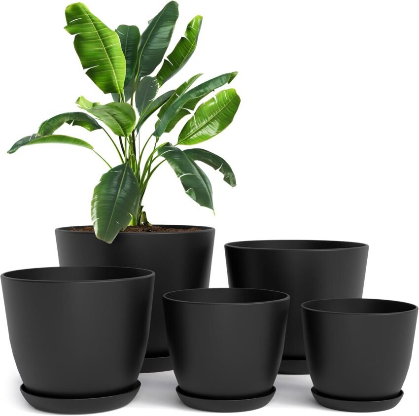 Amazon Basics Plastic Planters
