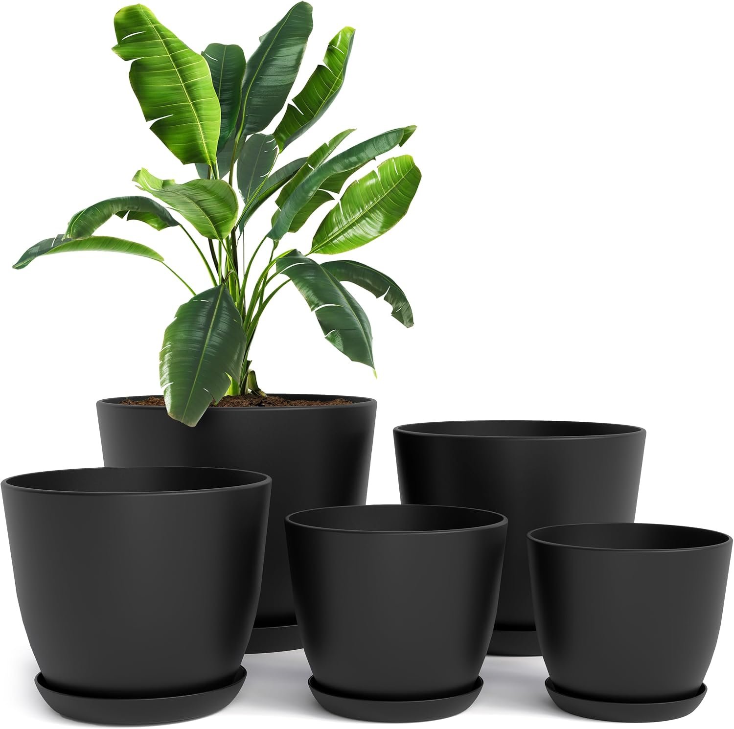 Amazon Basics Plastic Planters